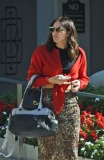 KATHARINE MCPHEE Out with Her Dog in West Hollywood 10/23/2019