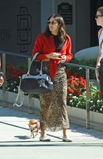 KATHARINE MCPHEE Out with Her Dog in West Hollywood 10/23/2019