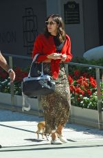 KATHARINE MCPHEE Out with Her Dog in West Hollywood 10/23/2019