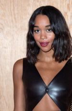 LAURA HARRIER at Louis Vuitton Fashion Show at PFW in Paris 10/01/2019