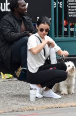 LUCY HALE Out with Her Dog in New York 09/30/2019