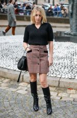 LUDIVINE SAGNIER at Miu Miu Fashion Show at PFW in Paris 10/01/2019