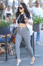 NIKKI and BRIE BELLA Out Shopping in Sherman Oaks 10/08/2019