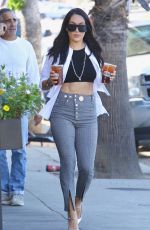 NIKKI and BRIE BELLA Out Shopping in Sherman Oaks 10/08/2019