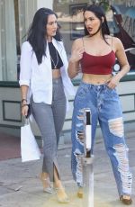 NIKKI and BRIE BELLA Out Shopping in Sherman Oaks 10/08/2019