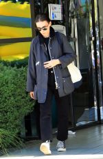 ROONEY MARA Out Shopping in Los Angeles 10/06/2019