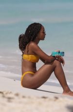 ROXANNE DIDER in a Yellow Bikini at a Beach in Tulum 10/07/2019
