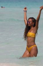 ROXANNE DIDER in a Yellow Bikini at a Beach in Tulum 10/07/2019