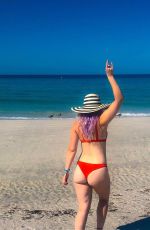 SKYE SWEETNAM in Bikini at Beach in Tampa - Instagram Photos 09/24/2019
