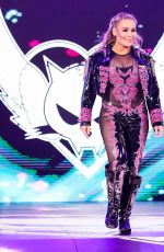 WWE - Hell in a Cell 2019