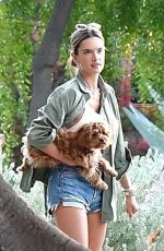 ALESSANDRA AMBROSIO in Shorts out in Santa Monica 11/17/2019