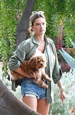 ALESSANDRA AMBROSIO in Shorts out in Santa Monica 11/17/2019