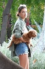 ALESSANDRA AMBROSIO in Shorts out in Santa Monica 11/17/2019