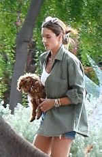 ALESSANDRA AMBROSIO in Shorts out in Santa Monica 11/17/2019