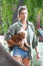 ALESSANDRA AMBROSIO in Shorts out in Santa Monica 11/17/2019