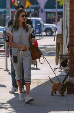 ALESSANDRA AMBROSIO Out Shopping in Pacific Palisades 11/02/2019