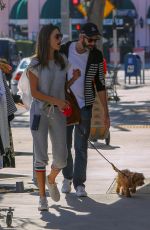 ALESSANDRA AMBROSIO Out Shopping in Pacific Palisades 11/02/2019