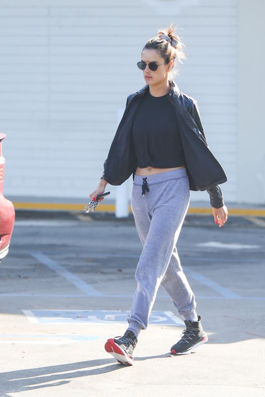 ALESSANDRA AMBROSIO Out with Her Dog in los Angeles 11/21/2019