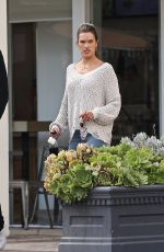 ALESSANDRA AMBROSIO Shopping at Fred Segal in West Hollywood 11/21/2019