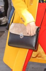 AMBER TAMBLYN Arrives at Tribeca Chanel Women’s Filmmaker Program Luncheon 11/04/2019