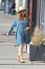 AMY ADAMS Out and About in Beverly Hills 11/17/2019