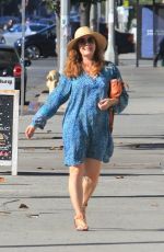 AMY ADAMS Out and About in Beverly Hills 11/17/2019