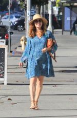 AMY ADAMS Out and About in Beverly Hills 11/17/2019