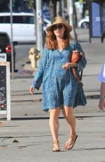 AMY ADAMS Out and About in Beverly Hills 11/17/2019