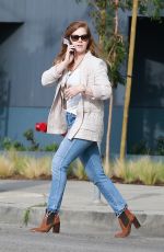 AMY ADAMS Out for Lunch at Ca Del Sole in Toluca Lake 11/15/2019