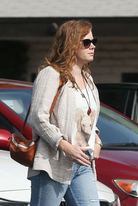 AMY ADAMS Out for Lunch at Ca Del Sole in Toluca Lake 11/15/2019