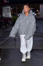 ARIANA GRANDE Out with Her Dog in New York 11/18/2019
