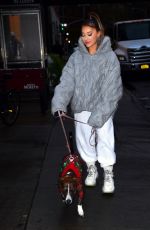 ARIANA GRANDE Out with Her Dog in New York 11/18/2019
