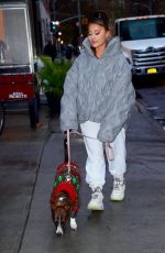 ARIANA GRANDE Out with Her Dog in New York 11/18/2019