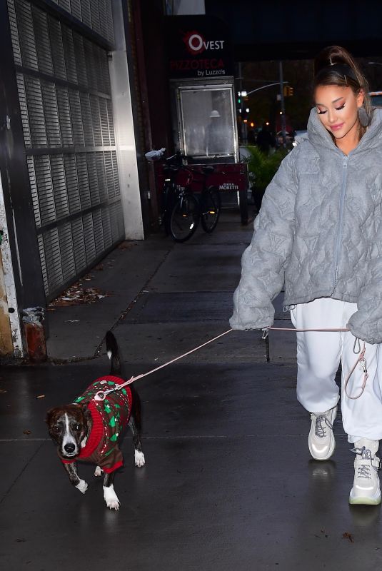 ARIANA GRANDE Out with Her Dog in New York 11/18/2019
