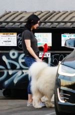 ARIEL WINTER Picks Up Her Dogs at a Salon in Los Angeles 11/04/2019