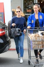 ASHLEY GREENE Out Shopping in Beverly Hills 11/26/2019