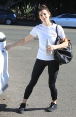 ASHLEY GREENE Out Shopping in West Hollywood 11/05/2019