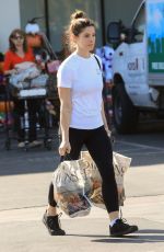 ASHLEY GREENE Out Shopping in West Hollywood 11/05/2019