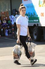ASHLEY GREENE Out Shopping in West Hollywood 11/05/2019