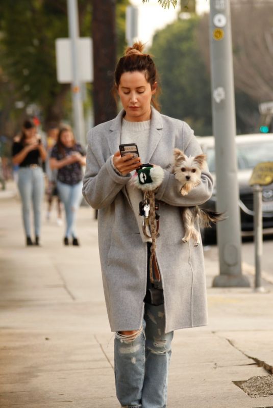 ASHLEY TISDALE in Ripped Denim Out for Coffee in Los Angeles 11/15/2019
