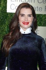 BROOKE SHIELDS at An Evening Honoring Leonard A. Lauder in New York 11/18/2019
