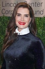 BROOKE SHIELDS at An Evening Honoring Leonard A. Lauder in New York 11/18/2019