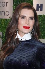 BROOKE SHIELDS at An Evening Honoring Leonard A. Lauder in New York 11/18/2019