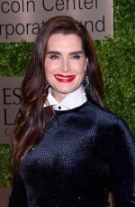 BROOKE SHIELDS at An Evening Honoring Leonard A. Lauder in New York 11/18/2019