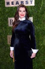 BROOKE SHIELDS at An Evening Honoring Leonard A. Lauder in New York 11/18/2019