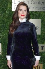 BROOKE SHIELDS at An Evening Honoring Leonard A. Lauder in New York 11/18/2019