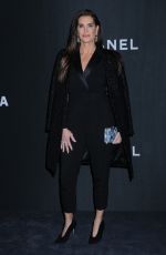 BROOKE SHIELDS at Museum of Modern Art in New York 11/12/2019
