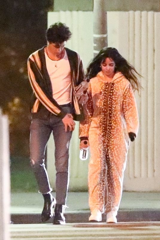 CAMILA CABELLO and Shawn Mendes Out in Los Angeles 11/13/2019