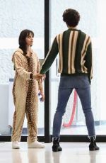 CAMILA CABELLO and Shawn Mendes Out in Los Angeles 11/13/2019