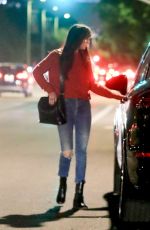 DAKOTA JOHNSON Leaves Meche Salon in Beverly Hills 11/21/2019
